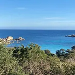 Terra Di Sole