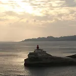 Terra Di Sole