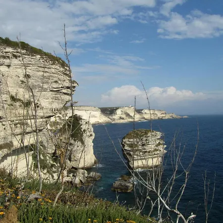Terra Di Sole *