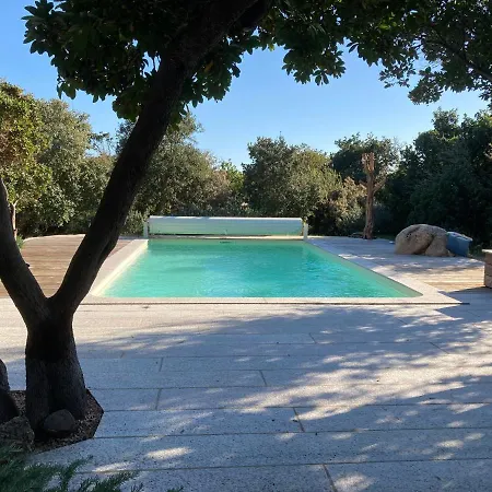 Terra Di Sole
