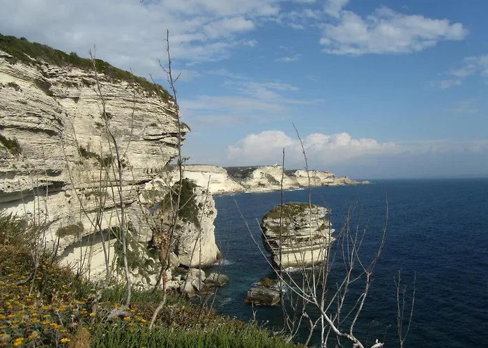 Terra Di Sole *