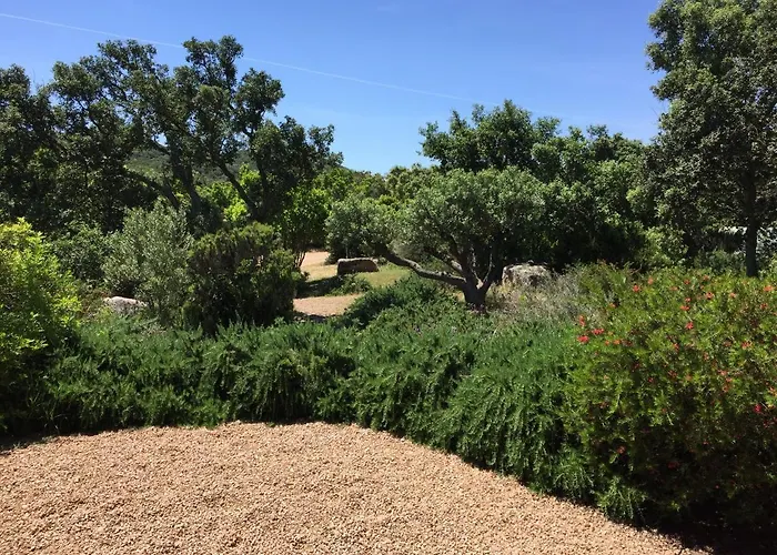 Terra Di Sole فيلة *