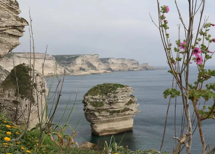 فيلة Terra Di Sole *